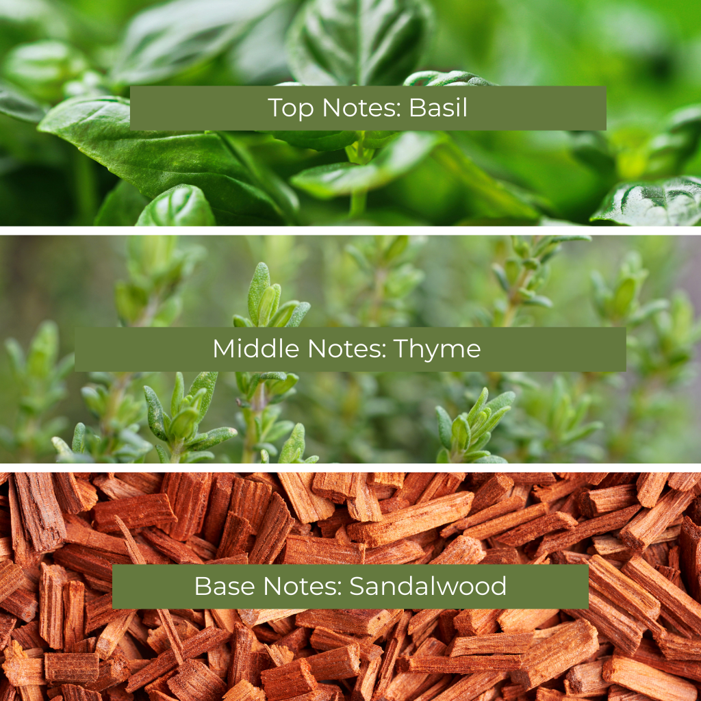 Fresh Picked Basil Fragrance Oil