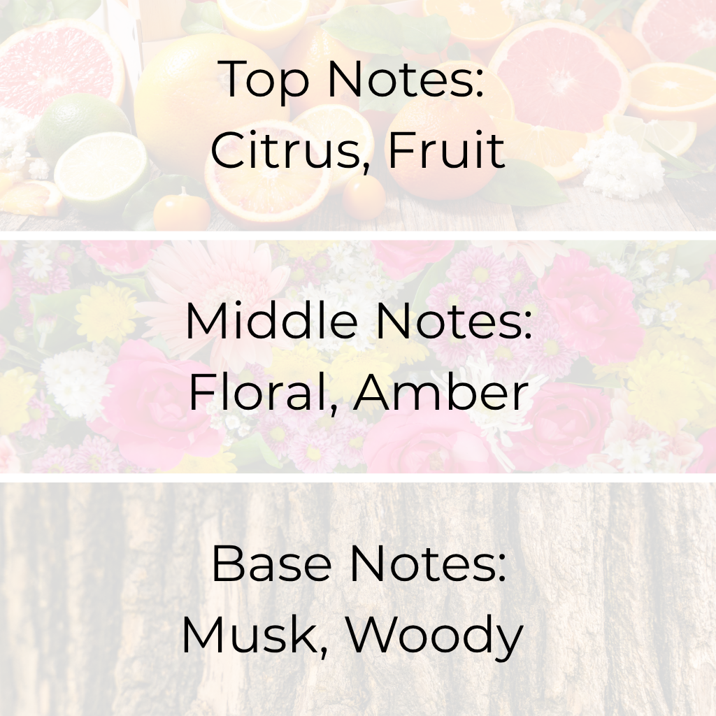 Amber Twilight fragrance oil scent notes – citrus fruit top, floral and amber middle, musk and woody base. Premium fragrance oils in Canada for candles, wax melts, and home fragrance.