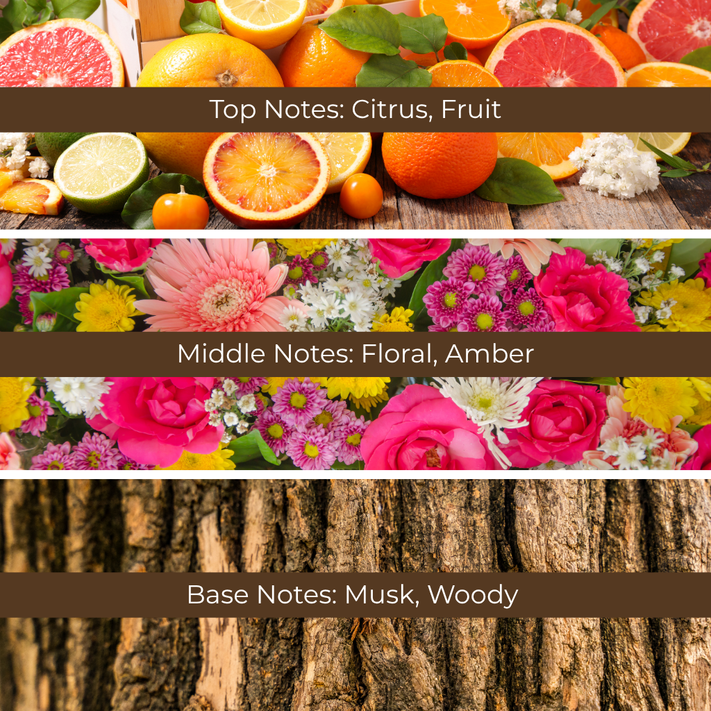 Amber Twilight fragrance oil fragrance pyramid showing citrus, fruit, floral, amber, musk, and woody notes. High-quality fragrance oils sold in Canada for candle making and home scents