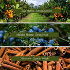 Christmas Fir & Spice Fragrance Oil