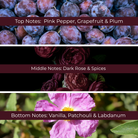 Dark Rose Fragrance Oil- Candle  & Soap Making