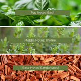 Fresh Picked Basil Fragrance Oil