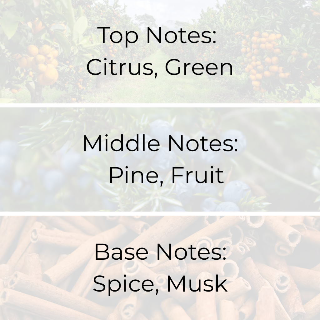 Holiday fragrance oil scent profile with citrus, pine, fruit, spice, and musk notes for candle making in Canada