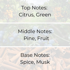 Holiday fragrance oil scent profile with citrus, pine, fruit, spice, and musk notes for candle making in Canada