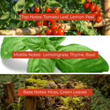 Tomato Vines Fragrance Oil